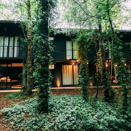 Boscoso Hotel Boutique Valle de Bravo Exteriör bild
