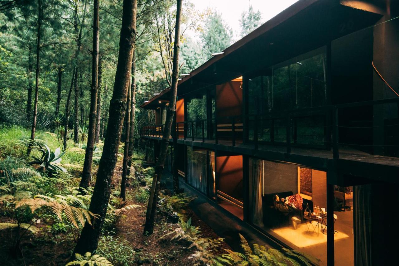 Boscoso Hotel Boutique Valle de Bravo Exteriör bild
